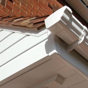 Fascias